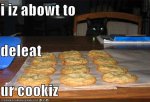 funny-pictures-cat-deletes-cookies.jpg